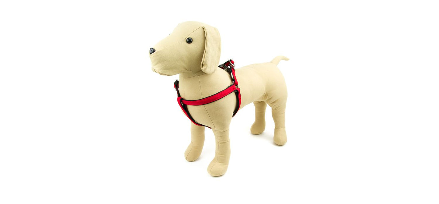 Great&Small Active Neoprene Harness Red