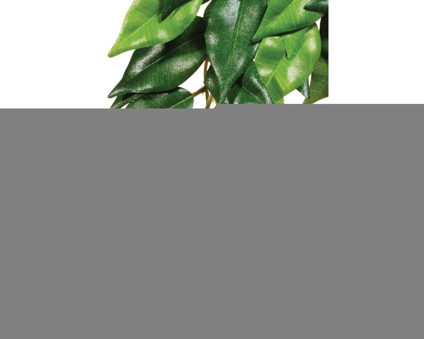 Exo Terra Silk Fiscus Plant
