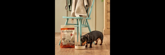 Forthglade Dog Adult Grain Free Cold Pressed Turkey