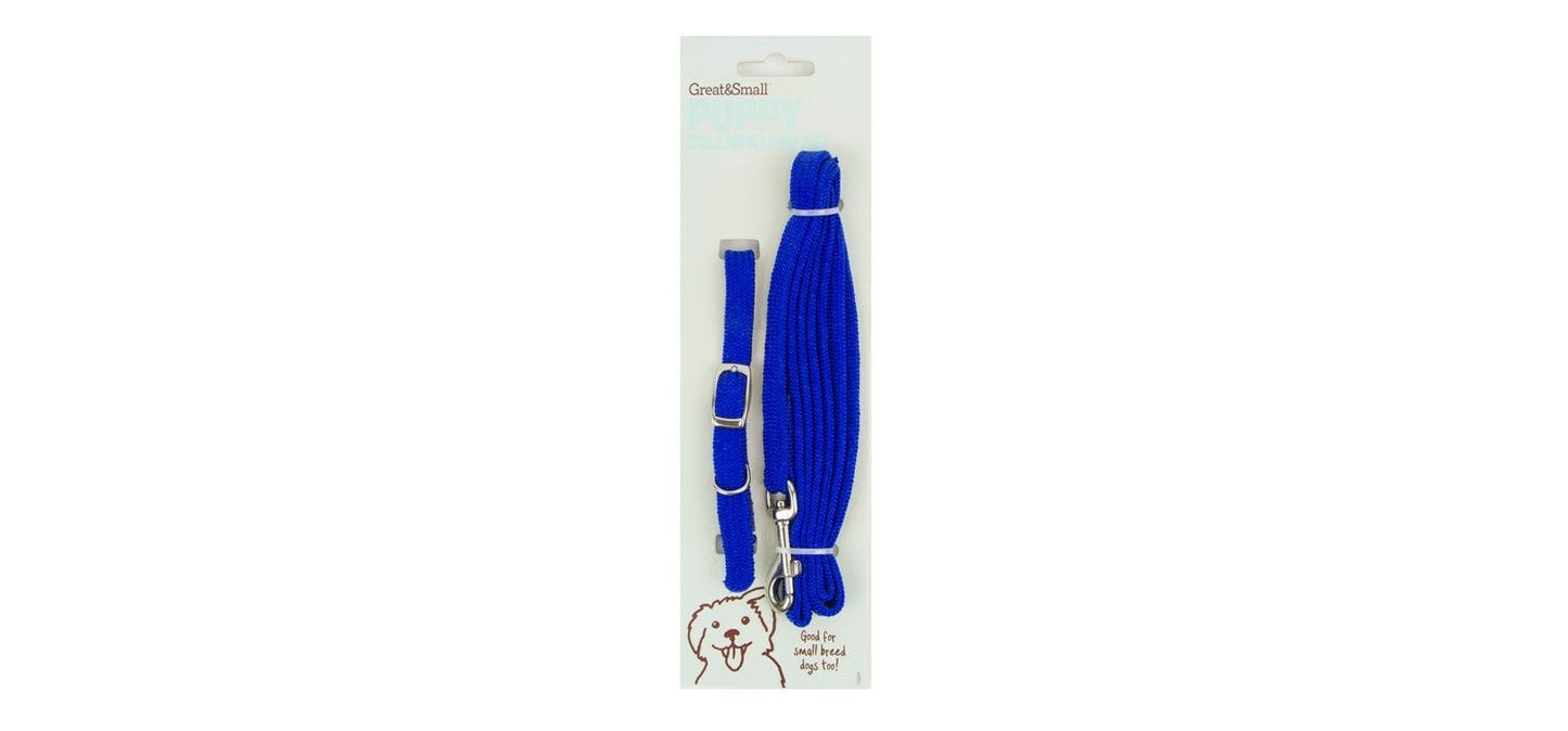 Great&Small Puppy Blue Collar & Lead Set
