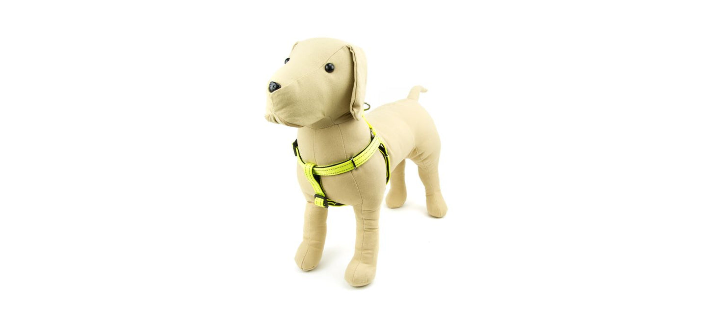 Great&Small Glow Hi-Vis Harness Yellow