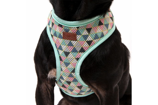 Great&Small Penrose Geometric Triangle Mesh Harness