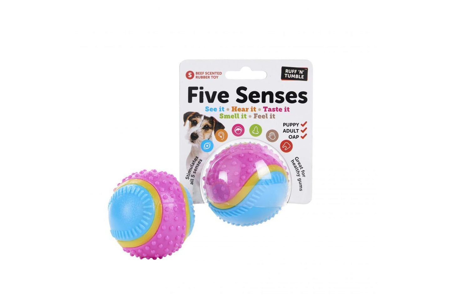 Sharples 'N' Grant Five Senses Sensory Ball