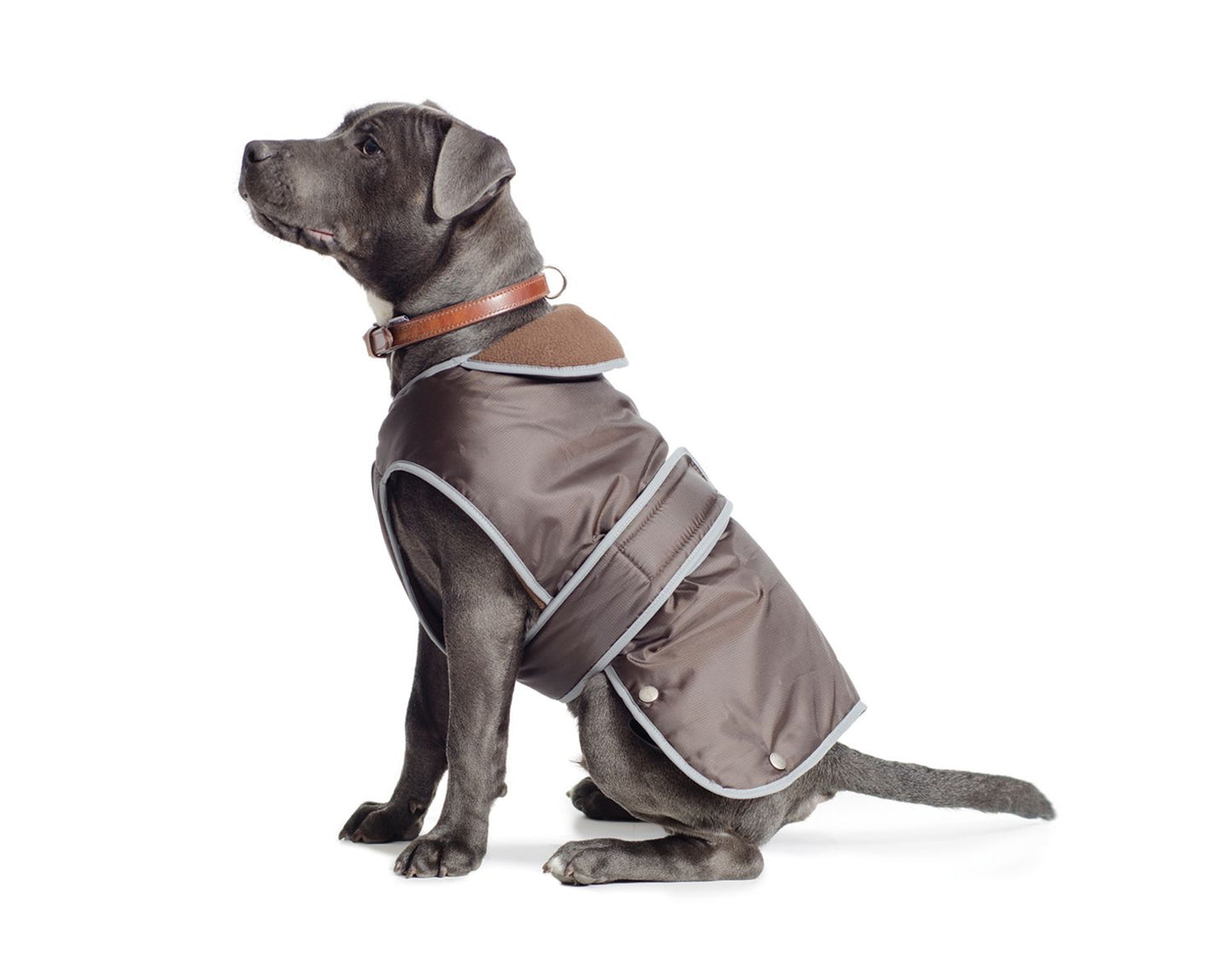 Muddy Paws Stormguard Dog Coat With Chest Protector In Brown