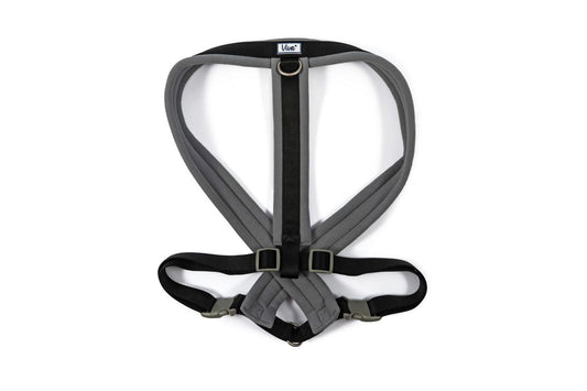 Ancol Viva Padded Dog Harness In Black