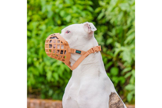 Baskerville Wide Fit Muzzle