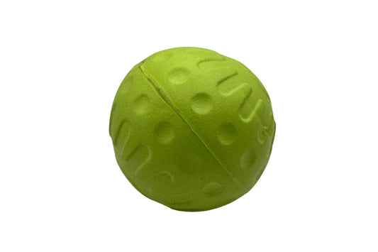 Aqua Dog Float Ball Green