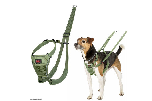 Halti No Pull Harness Green