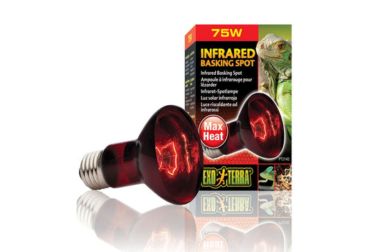 Exo Terra Infrared Basking Spot Lamp