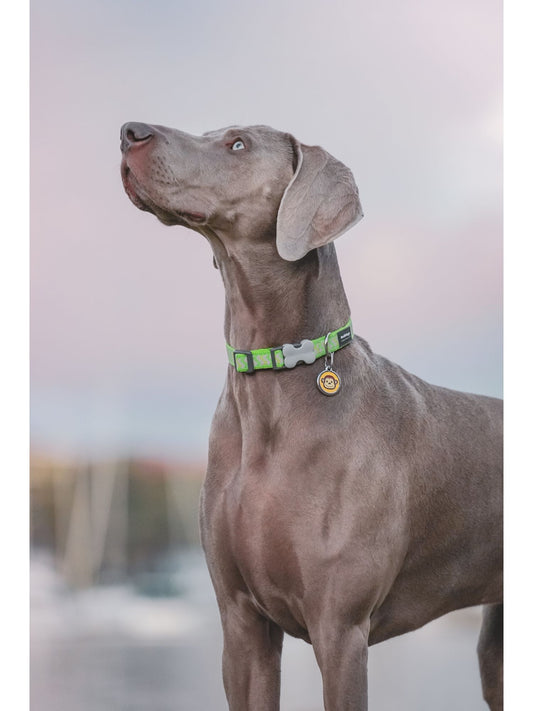 Red Dingo Plastic Engraved Dog Tag Bone