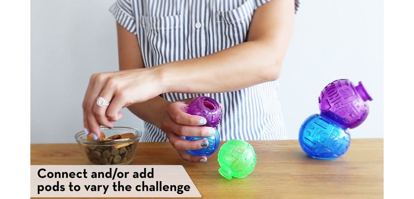 KONG Lock-It Large Dog Toys - Large