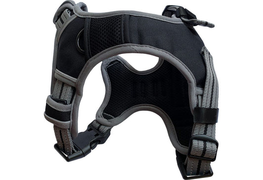 Hem & Boo Sports Harness Black