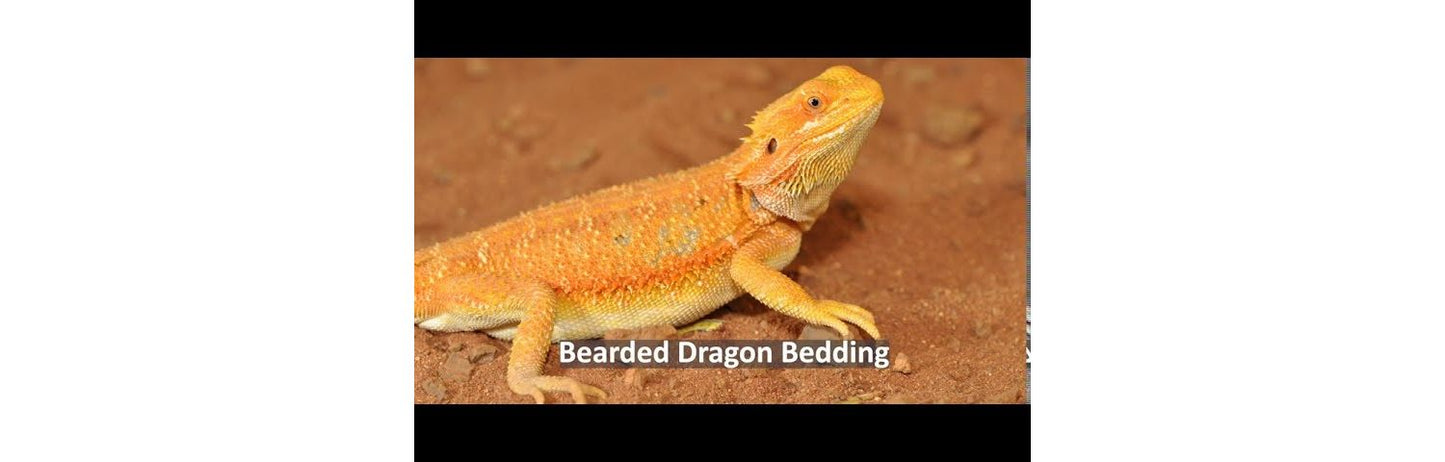Habistat Leopard Gecko Bedding Substrate