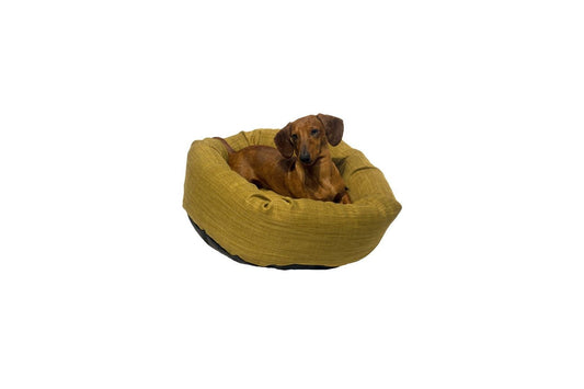 Danish Design Allsorts Palma Green Donut Dog Bed