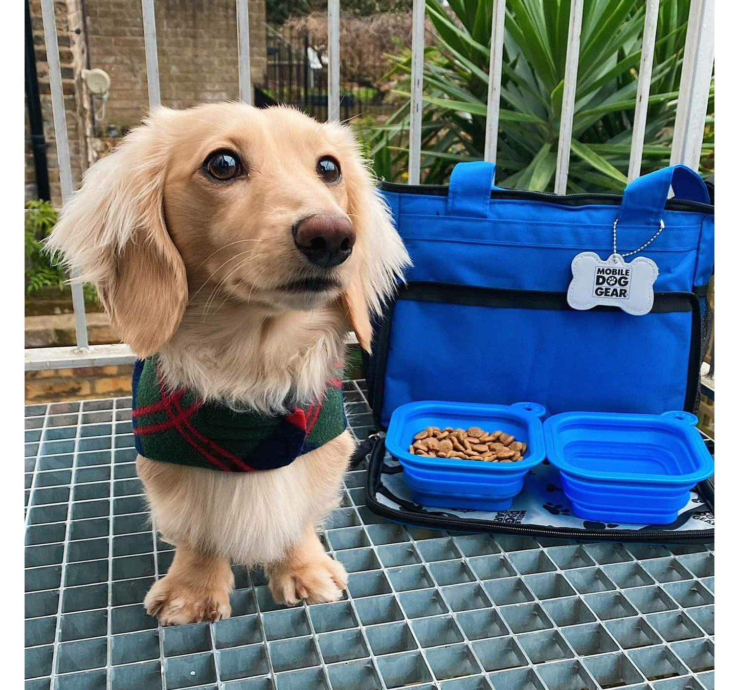 Mobile Dog Gear Weekend Away Bag Blue