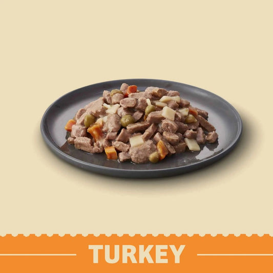 James Wellbeloved Senior Turkey In Gravy Pouch