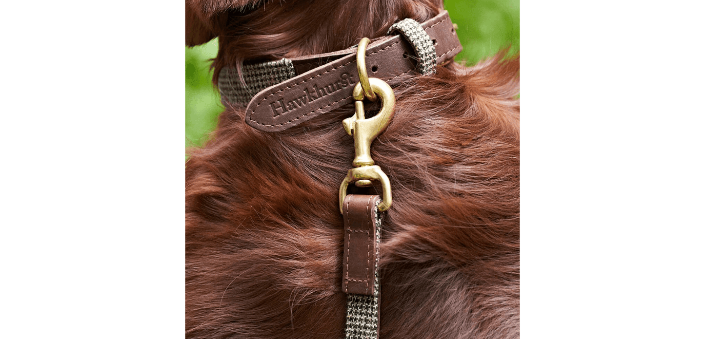 Great&Small Hawkhurst Leather Padded Dog Collar In Red