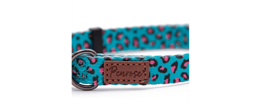 Great&Small Penrose Leopard Pink Spot Collar
