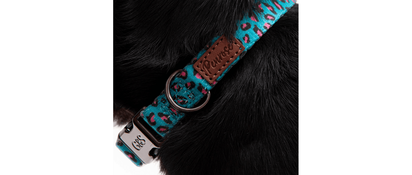 Great&Small Penrose Leopard Pink Spot Collar