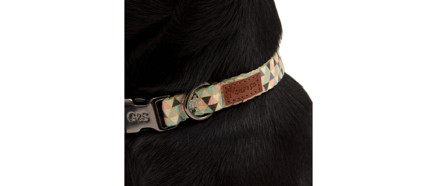 Great&Small Penrose Geometric Triangles Collar