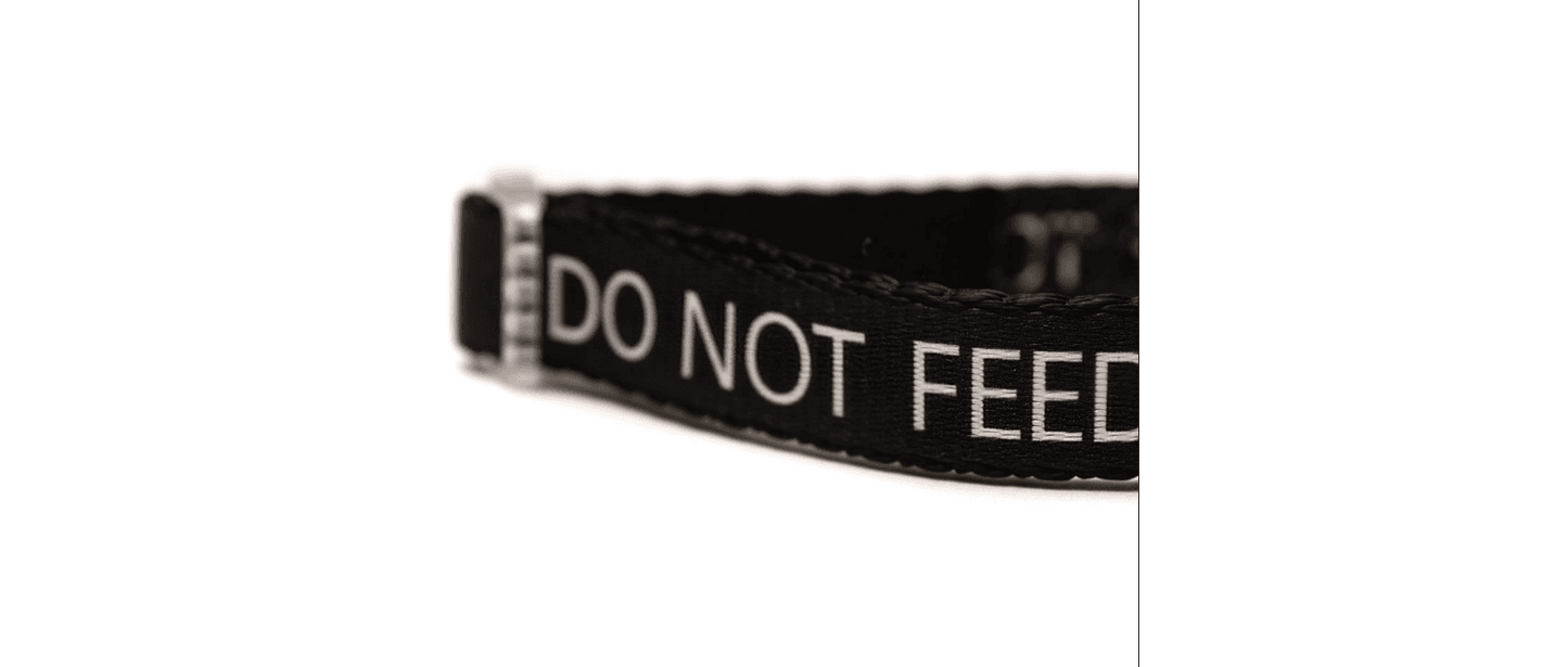 Great&Small Classic Do Not Feed Black Collar
