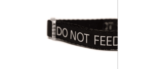 Great&Small Classic Do Not Feed Black Collar