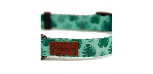 Great&Small Penrose Palm Leaf Green Collar