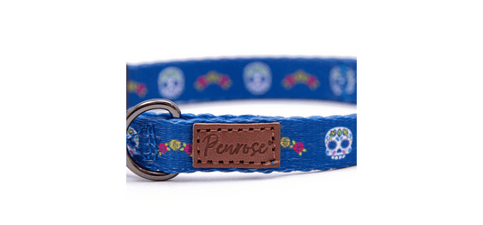 Great&Small Penrose Day Of The Dead Blue Collar