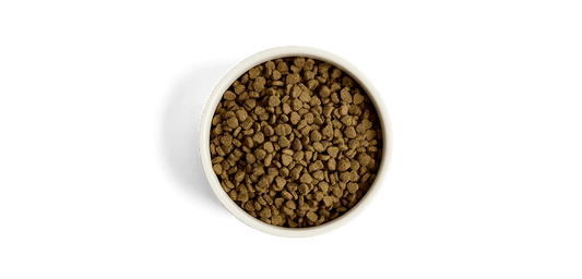 GreenAcres Puppy Turkey & Rice