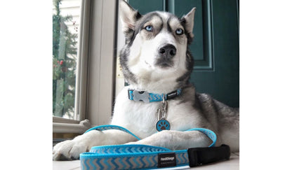  Red Dingo Glitter Engraved Dog Tag Heart Navy