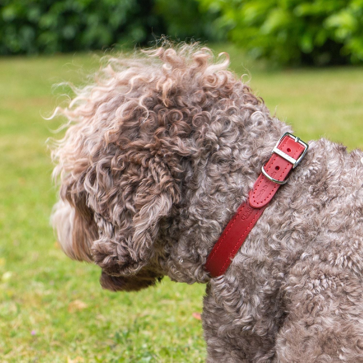 Ancol Heritage Classic Red Leather Dog Collar