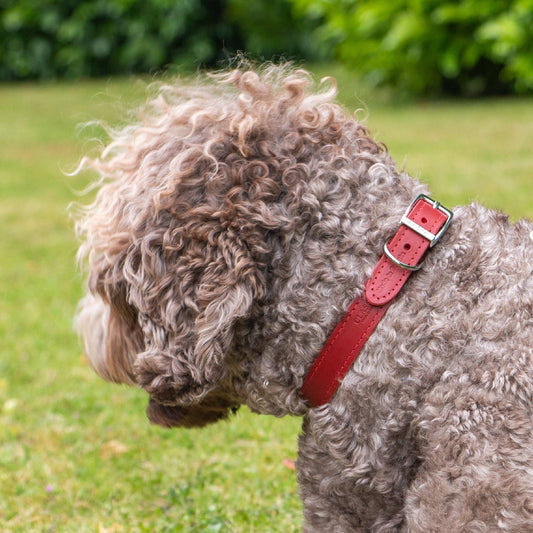  Ancol Heritage Classic Red Leather Dog Collar