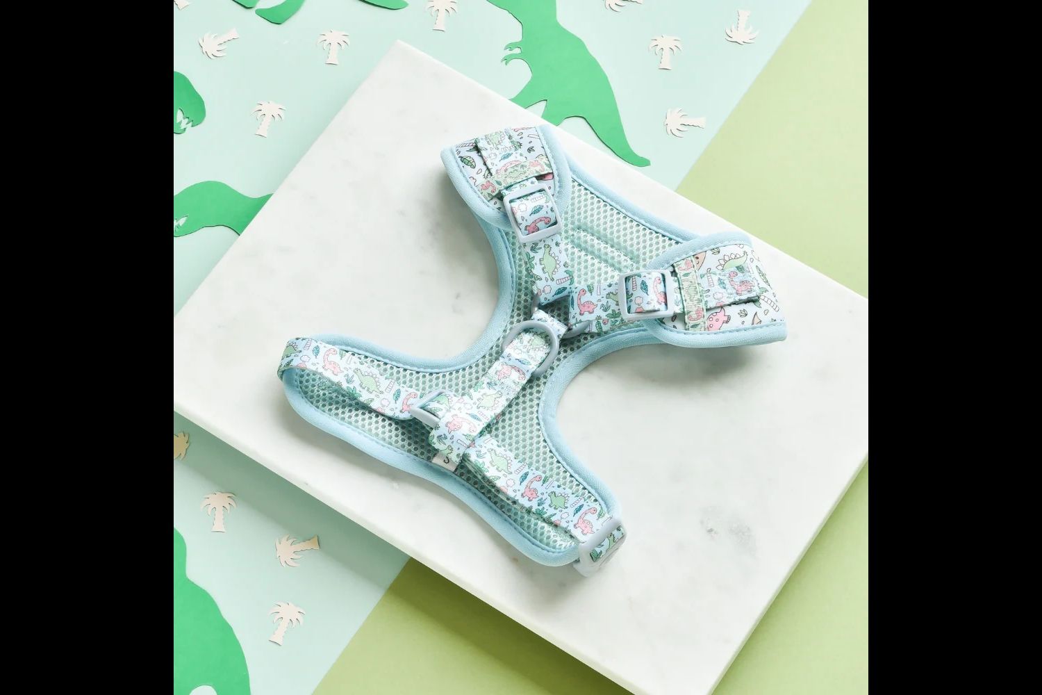  Cocopup Dinopaws Harness