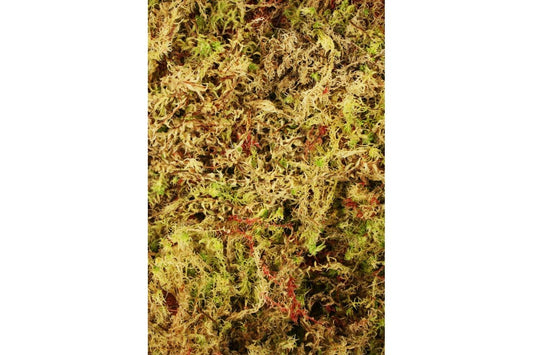  Komodo Habitat Moss 1.5L