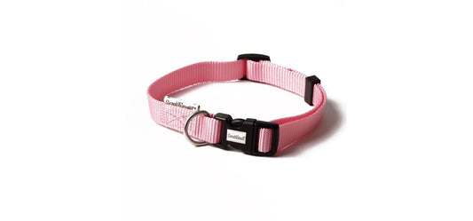  Great&Small Classic Plain Pink Collar