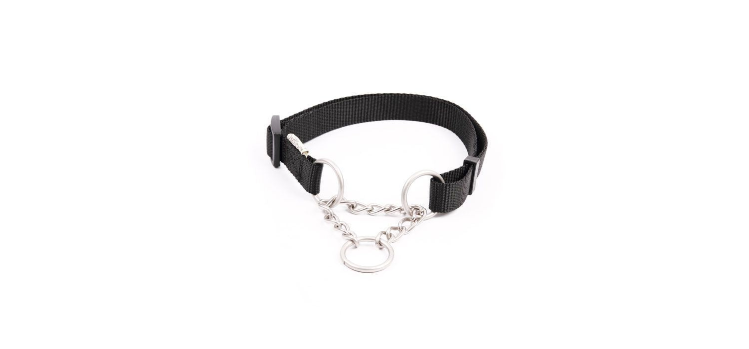  Great&Small Classic Black Combi Collar