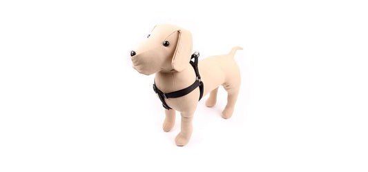  Great&Small Classic Plain Harness Black