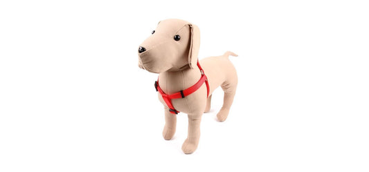  Great&Small Classic Plain Harness Red