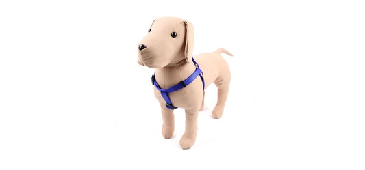  Great&Small Classic Plain Harness Blue