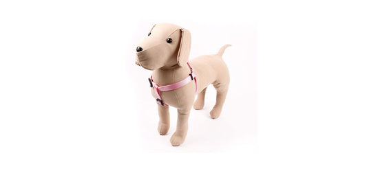  Great&Small Classic Plain Harness Pink