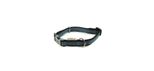  Great&Small Active Neoprene Grey Collar