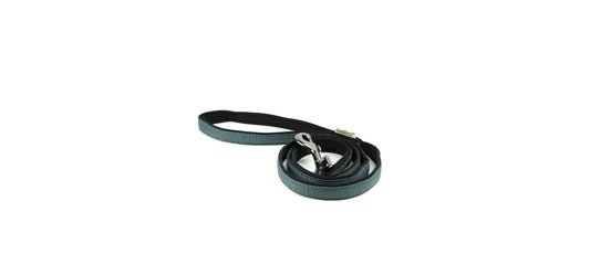 Great&Small Active Neoprene Lead Grey