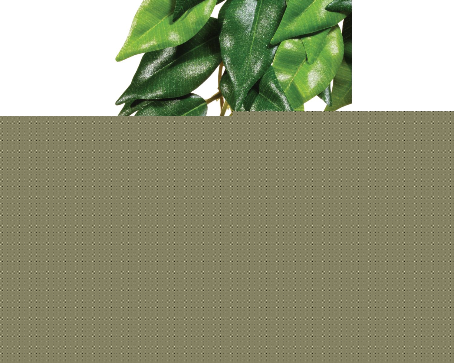  Exo Terra Silk Fiscus Plant