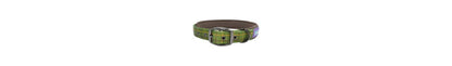  Hem & Boo Green Country Check Dog Collar