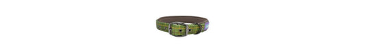  Hem & Boo Green Country Check Dog Collar
