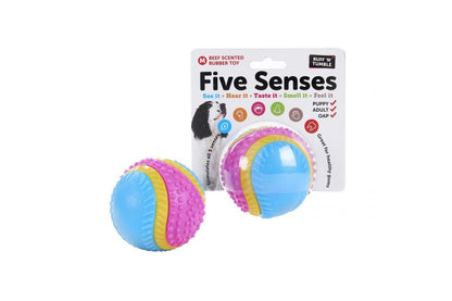  Sharples 'N' Grant Five Senses Sensory Ball