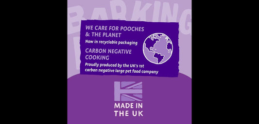  Barking Heads Big Foot Puppy Days Large Breed Dry Puppy Food