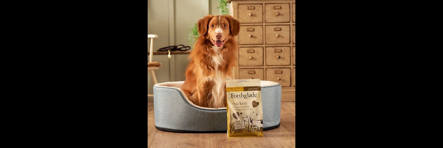 Forthglade Grain Free Cold Pressed Dry Dog Food Chicken