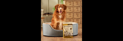  Forthglade Grain Free Cold Pressed Dry Dog Food Chicken