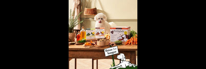  12 X Forthglade Grain Free Turkey & Lamb With Veg Complete Senior Wet Dog Food Variety Pack 395g